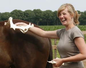 Bekken_bij_paard