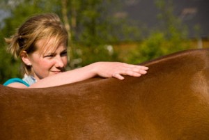 paarden-massages